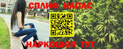 прущие грибы Донской