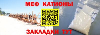 прущие грибы Дубна