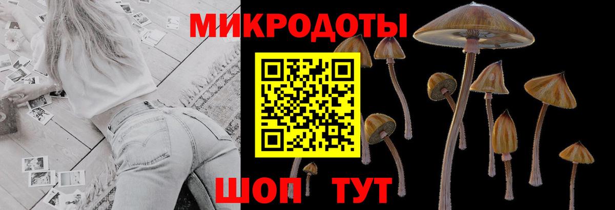 Галлюциногенные грибы Psilocybe  даркнет сайт  Псилоцибиновые грибы прущие грибы  Дюртюли  Вход с VPN 